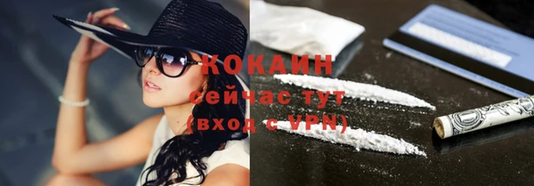 круглые Пересвет