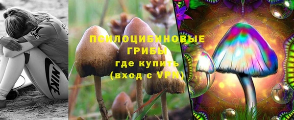 винт Переславль-Залесский